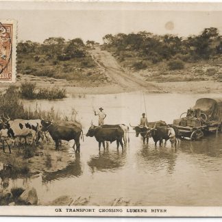 Belgian Congo postcard of ox transport crossing Lumene River with B&M&R railway Sakania Station postmark