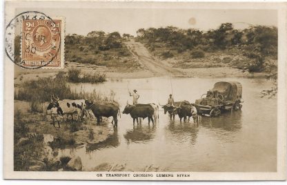 Belgian Congo postcard of ox transport crossing Lumene River with B&M&R railway Sakania Station postmark
