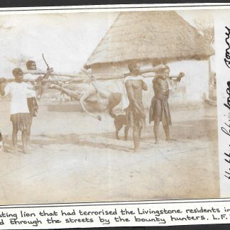 Northern Rhodesia 1905 real photo postcard of Livingstone's man eater used