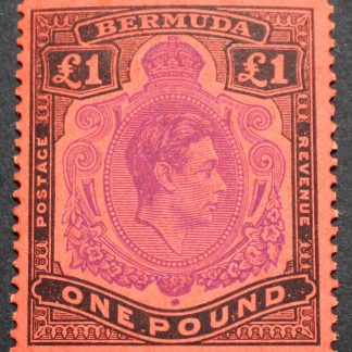 Bermuda 1951 GVI One Pound p13 SG 121d mint