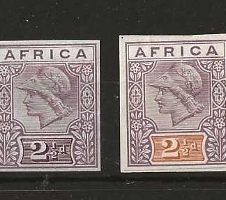 MINERVA Head Purple with four different colours with Africa at the top unmounted