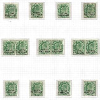 Somaliland Protectorate 1903 EVII Half Anna SG 25 on page with malformed and broken type mounted mint