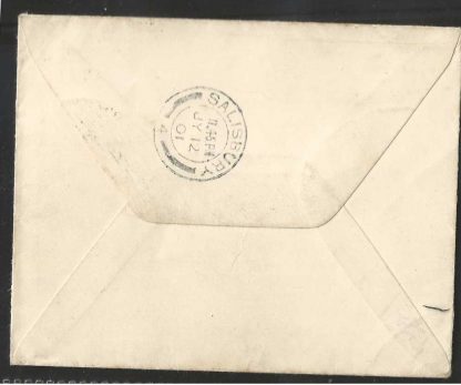 South Africa 1901 Boer War cover to England with Natal Field Force cancel - Image 2